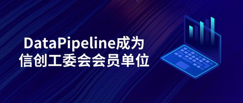 datapipeline正式成為信創(chuàng)工委會(huì)會(huì)員單位，致力為世界級(jí)用戶提供更優(yōu)質(zhì)產(chǎn)品和服務(wù)